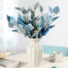 ~GֲҾӲ廨֧滨YĔz߻