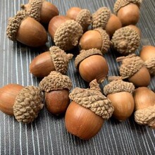 �ֹ�����b�ᔸɻ��ɸɻ����Ӹɹ��廨�쎧�����ˇ��������r��