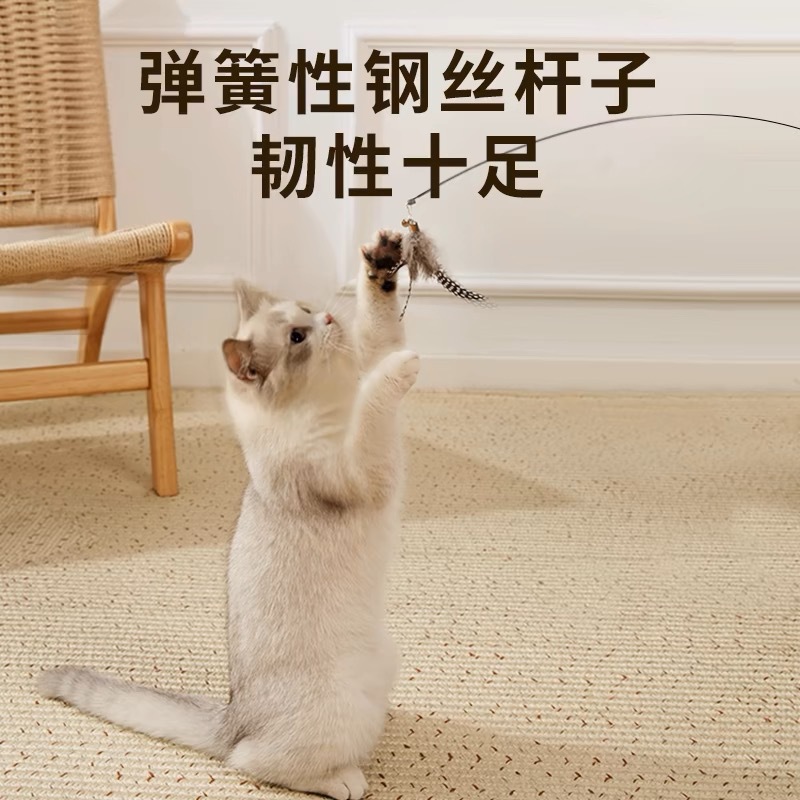 Cat teasing cat stick CFA race self -relieving wooden handle long…