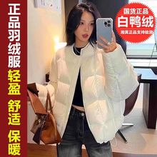 2025�r�ЈA�I��q���̿�������¿����q����ůŮ�b����