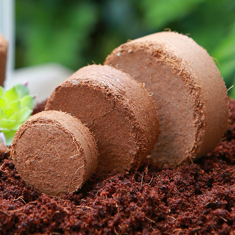 Питательная почва для рассады Сжатая почва Цветочные черенки