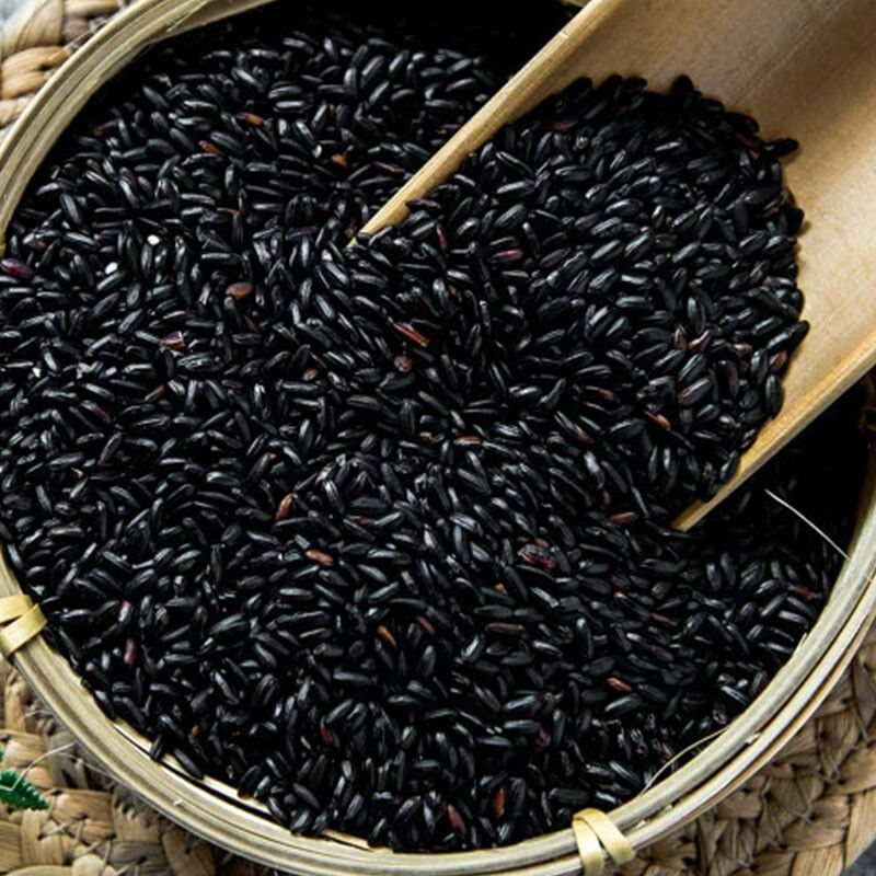 黑米批發東北新黑香米5斤無染色新米紫米黑大米五谷雜糧10斤懷舊