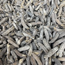 ���x�d�����lɳ�x��d������؛���ɶd���Ƶ�ˮ�l���˺���