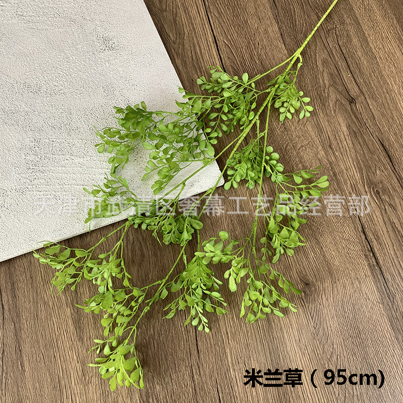 밀라노 잔디