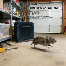 Ultrasonic Mouse Repellent Plug-in, Indoor Silent Safe