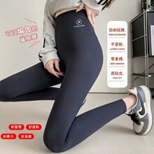 UNMUN���������٤ѝŮ�⴩2025�¿�o�폗�����~�\�ӽ���ѝ����