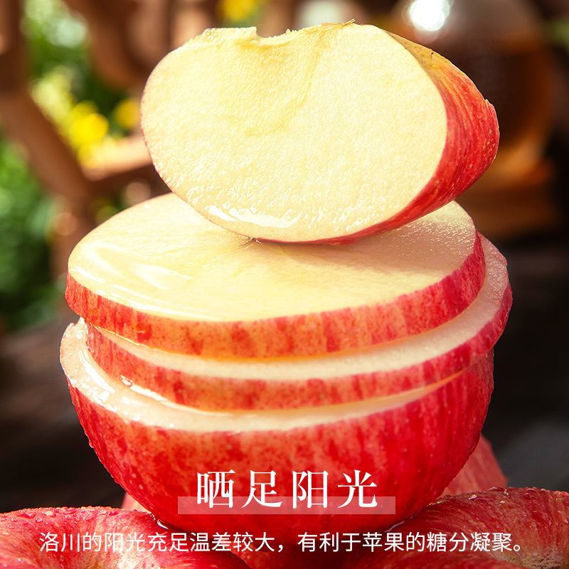 山東省の季節の新鮮な果物、赤い富士リンゴ、氷砂糖、西霞平果 10 点、煙台全箱、サクサク甘い|undefined