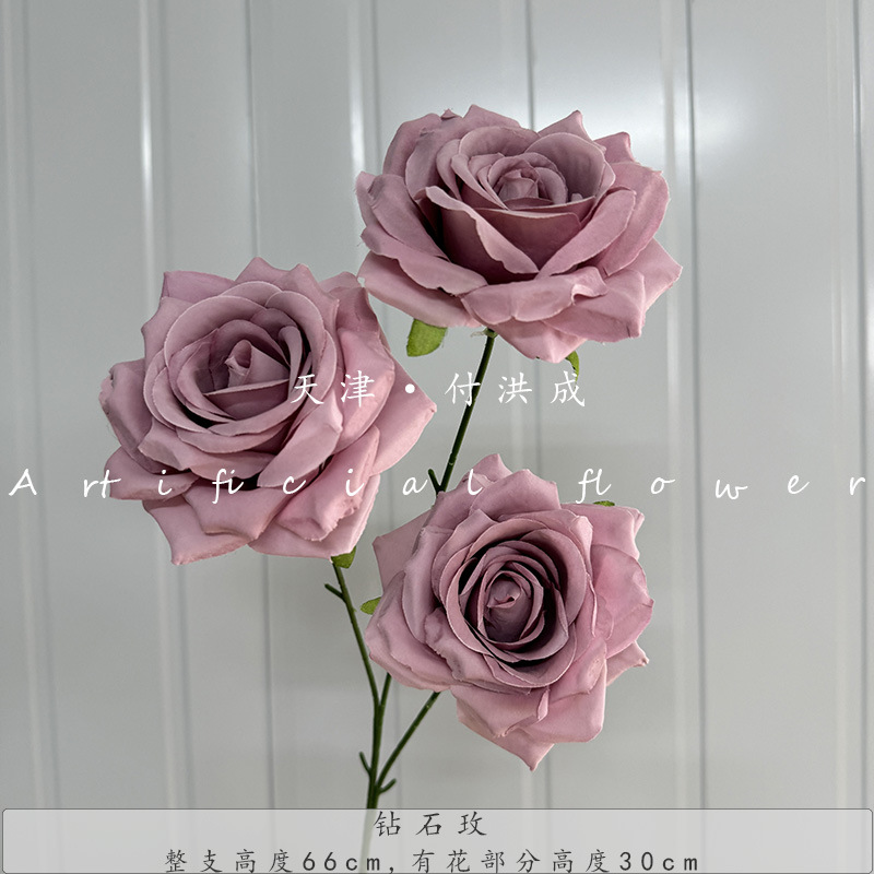 다이아몬드 로즈-퍼플