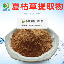 50:1/100:1比例夏枯草提取物 夏枯草粉 水溶 铁线夏枯草萃取