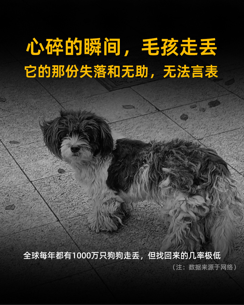 宠物防丢器_01.jpg