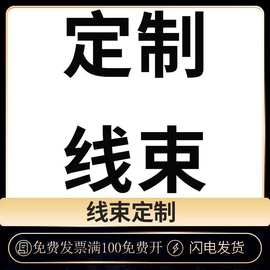 线束汽车连接线对插线接头线束加工汽车线束电机线束加工