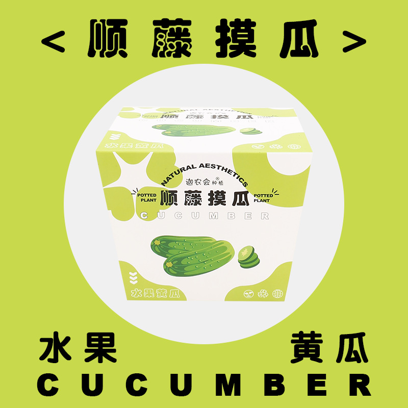 포도 나무를 따라 멜론 (과일 오이) 을 찾으십시오.