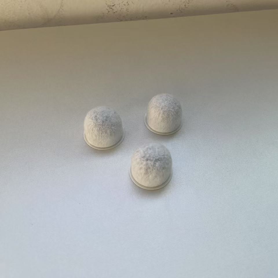 2025-03-14 20:59:35.jpg