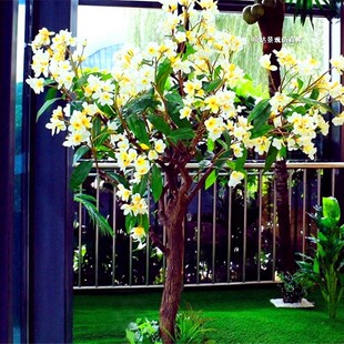 �����u�����侰�^ͥԺ���@�ݳ����ߔ[����@�L��ͥԺ�҃�������