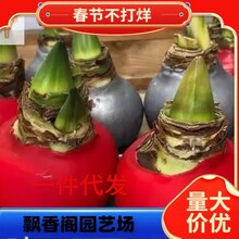 ��피t���Ԏ������M���ذ��N����피t�������҃��̨�Gֲ����B