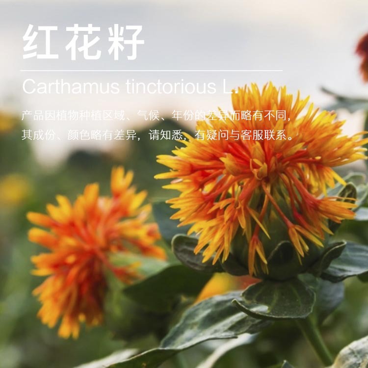 �򻨹�Ӧ�컨���� ���ѹե �컨���ͳ������� ��ӭ�ɹ�