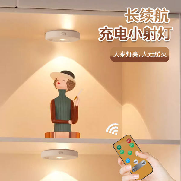 Rechargeable induction night light