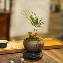 �~ǧ�~�K�F�䌚��̦�\���������ʽ�U��С�Gֲ���B