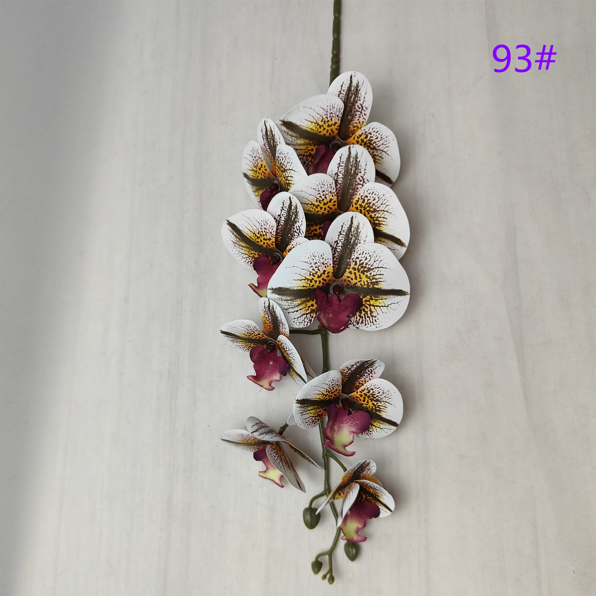 IMG20230510132716_副本