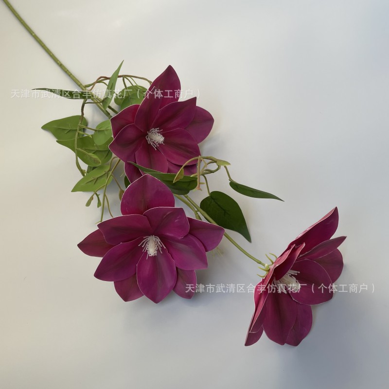 와인 레드