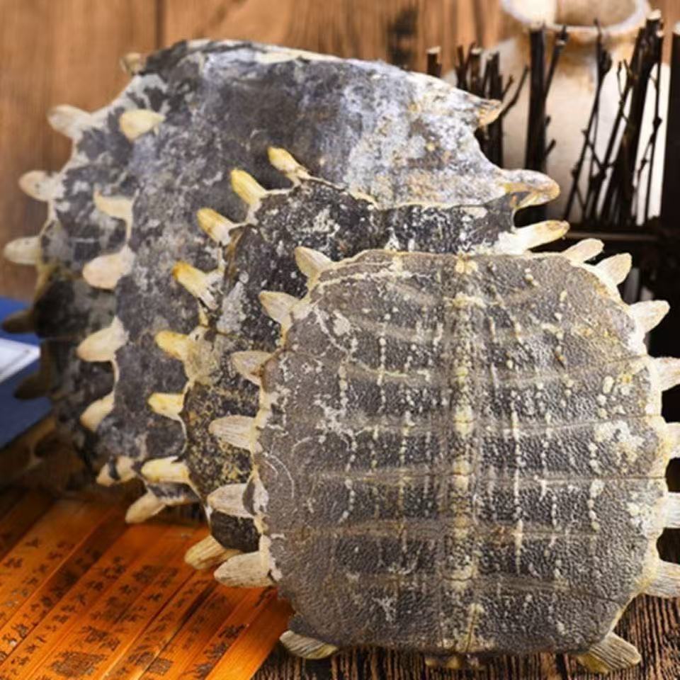 Bie Jia (Trionyx sinensis) Dried Turtle Shell Pieces — Traditional Chinese Herb, 500g specifications