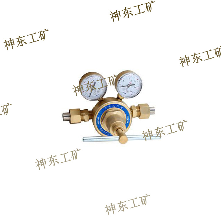 YQYG-08II氧气管道减压器YQEG-03II乙炔可调节小型专用设备厂家