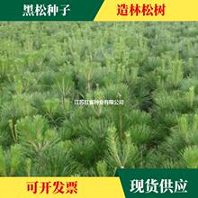 lɷNӂȰطNɘNӾGеľľNSطN