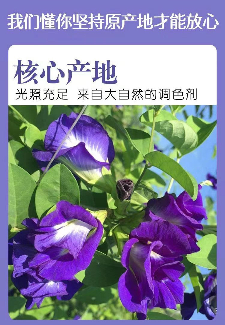 Butterfly Pea Flower Tea Lan Hu Die 25g Bottle Blue Herbal Tea for Cold Brew and Colorful Drinks key features