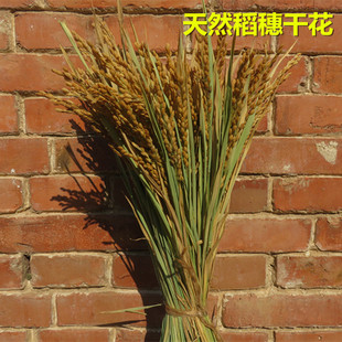 �����b� ��Ȼ�浾�ӵ��ȸɻ� �����r���ﲼ���S�չ��ĔzӰ����