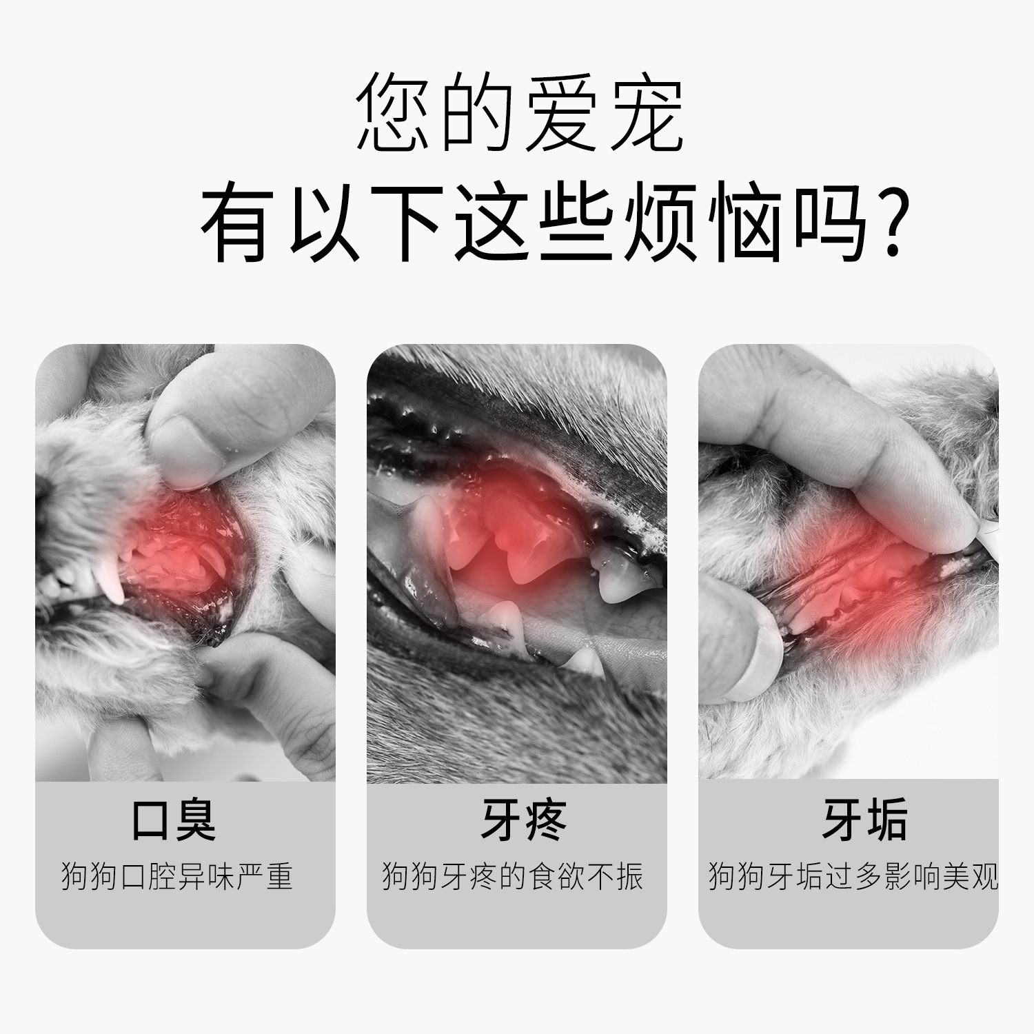 Mascotas gatos y perros para eliminar el mal aliento artefacto spray para gatos y perros spray general limpieza bucal enjuague bucal para eliminar el aliento