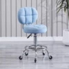 Backrest style sky blue [iron wheel