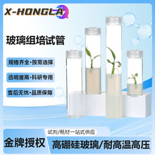 �沣�����M��ԇ�ܸ������|�͸ߜ؎�͸���w�M��ƿ���Nƿ