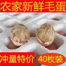 ���� 40ö�b �r�����r ë�� �u�ߵ� ë�u�� ϲ�����u�� �P�˵�