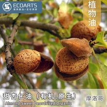 �������� Ħ����M���ЙCԭ��ֲ���͹��ʻ������̷�������������