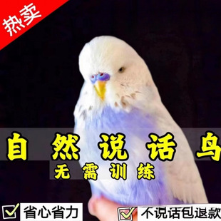���^��Ƥ�W�^������fԒ��С�B�������^�p�B���P�W�^�^�pĵ�����B
