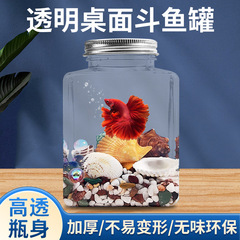 プラスチックの四角形の闘魚の缶の泡の缶のフルセットの材料の夜市は神器の闘魚の生態の微景のデスクトップの水槽を並べます。