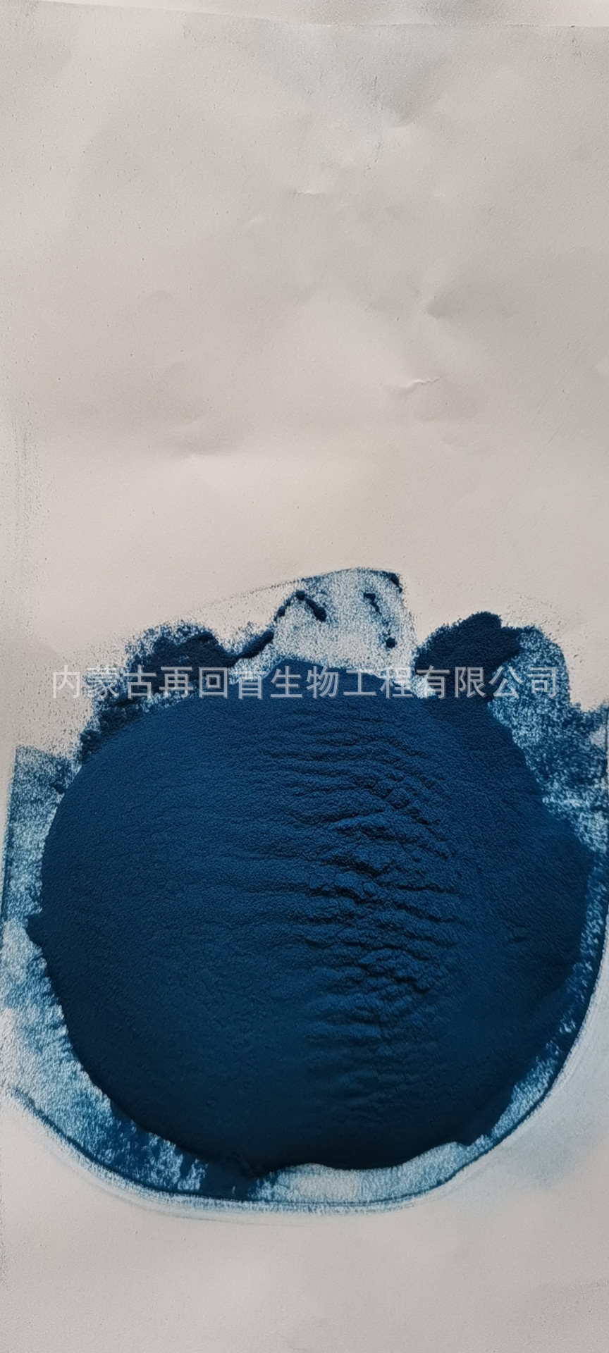 厂家源头直销-E40藻蓝蛋白