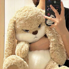 ���L���]�ɐہG�G��ë�q��߹���С������ż���ȱ���������˯��ż