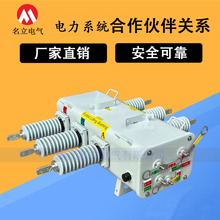 出口型FBLSG-12/630A室外型负荷开关户外SF6六氟化硫断路器11KV33