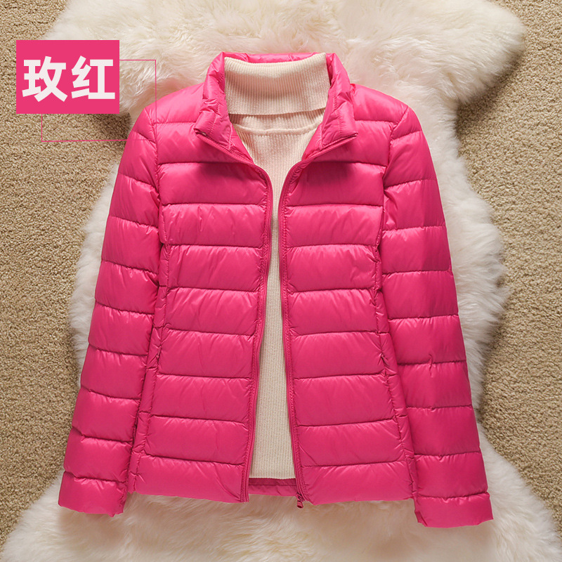 로즈 레드(스탠드 칼라)