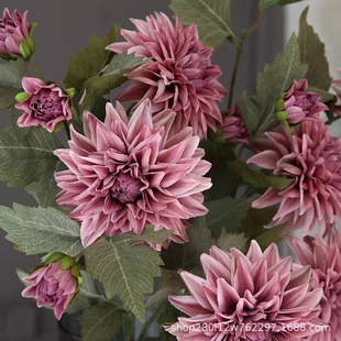 �¿�Ī�m��ɫϵ�͹��L���^���������滨 ��c�b����������ٻ�