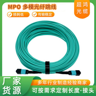 Telecom Grade 8/12/16/24 Core Multi-Mode Fiber Jumper 10g Module Computer Room Connection Line Fiber Jumper