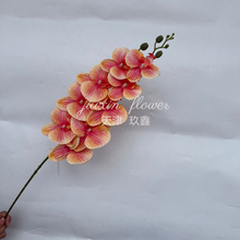 ��������m�Ҿ��bٻ��҃Ȕ[��3D��ӡ�ָІ�֧9�^�����m�羳��