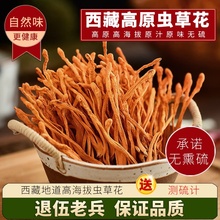 �x�ݻ���؛�ٷ���Ş��500g��������x�ݻ����x�ݵȼ�Ұɽ��