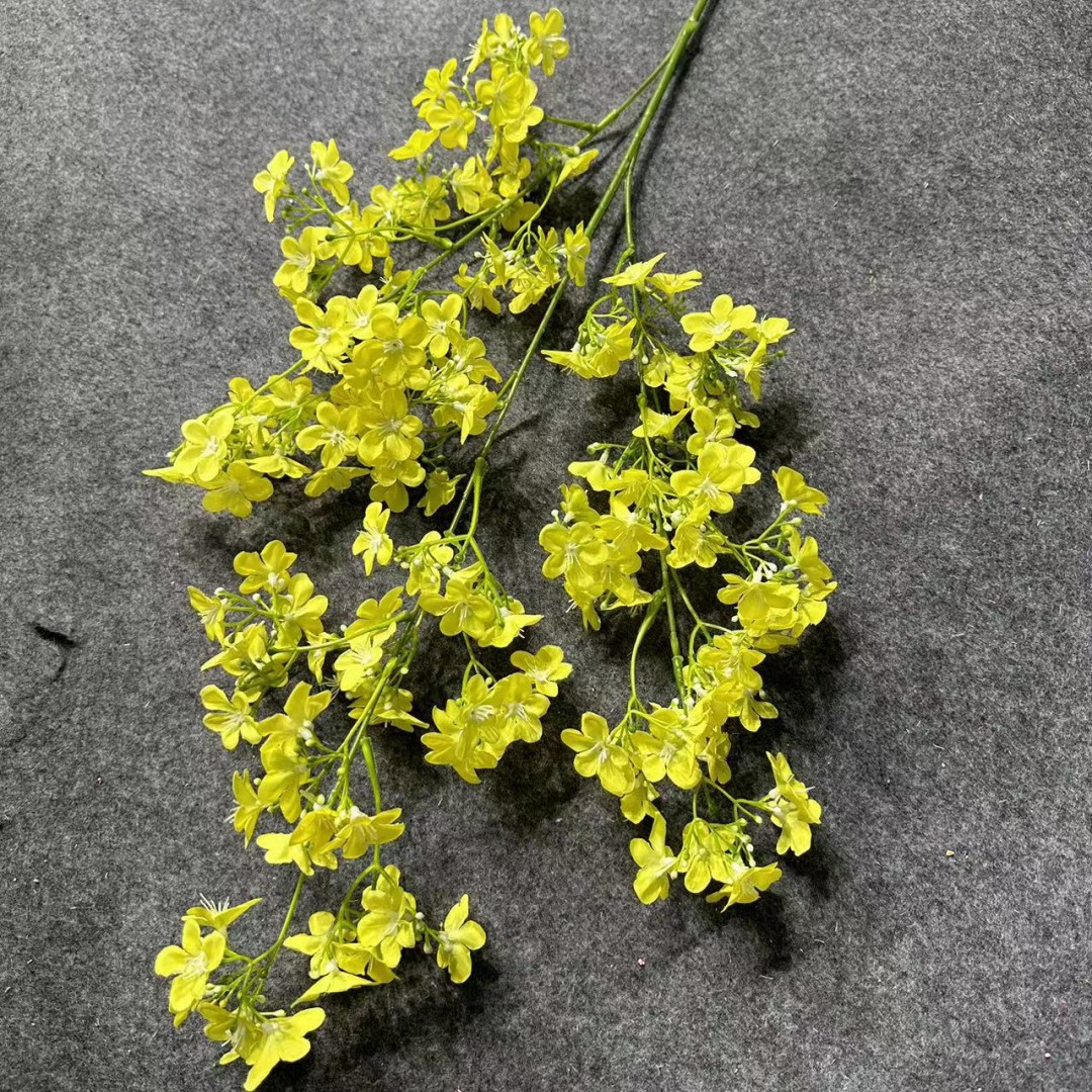 Yellow Rasmus flowers