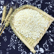 传统农家手工炒米湖北天门土特产糯米沙炒爆米花阴米原味米泡擂茶