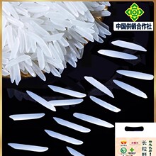 ���׮������L������ܛŴ�������r؈���z�����r���������׳��