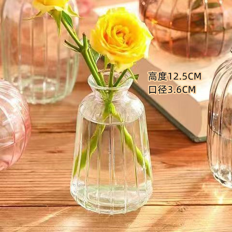 루파 C 스타일 [투명]