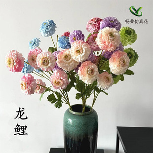 �¿���滨�\��ĵ����������ٻ���c�b�ˇ�������滨�\��ĵ��