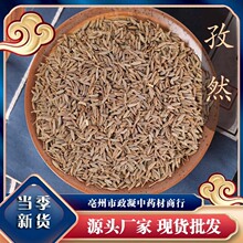 孜然粒500g新疆特产包邮 烤肉烧烤羊肉调料撒料腌料香料发批大全